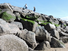 Wetenschap aan zee